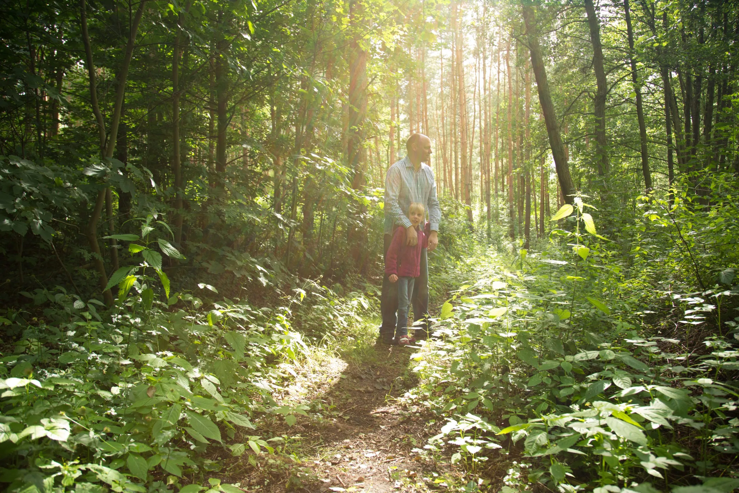 Ein Erwachsener und ein Kind auf einem sonnigen Waldweg